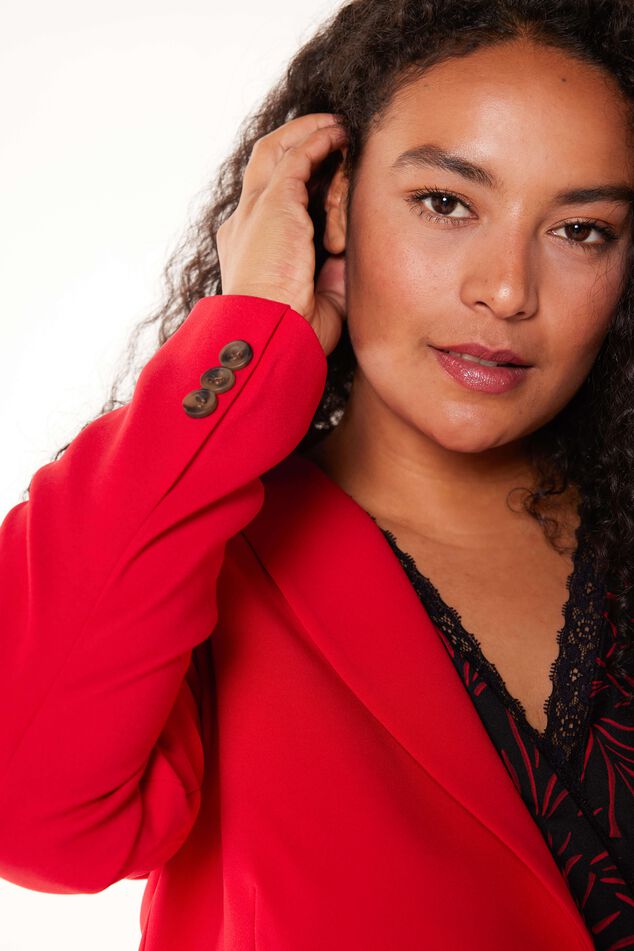 Blazer image number 5