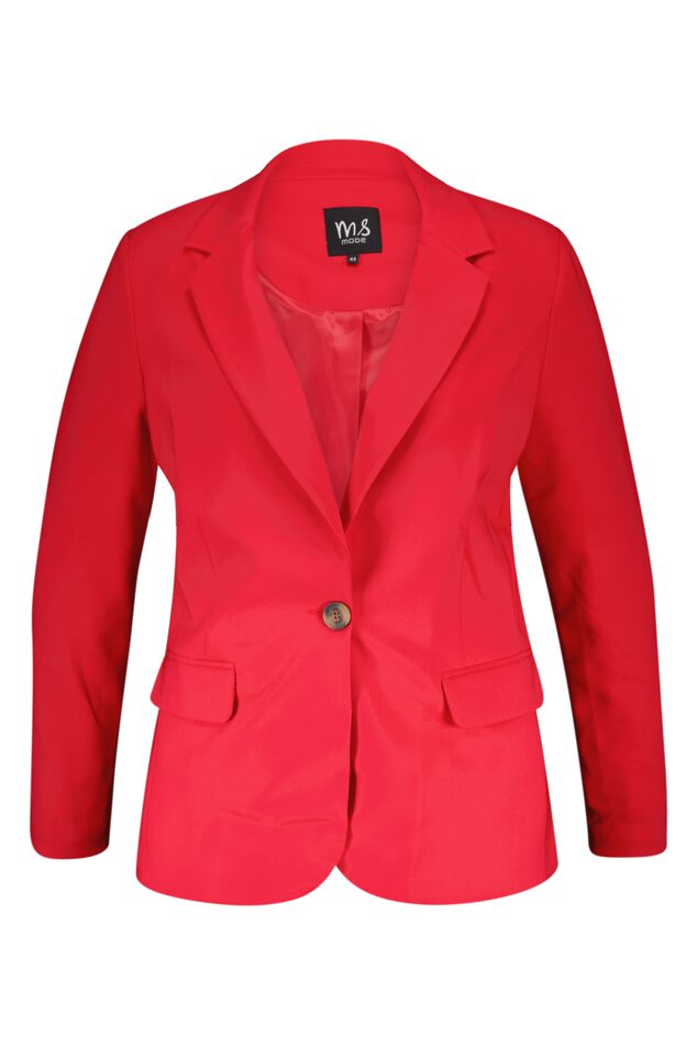 Blazer image number 1