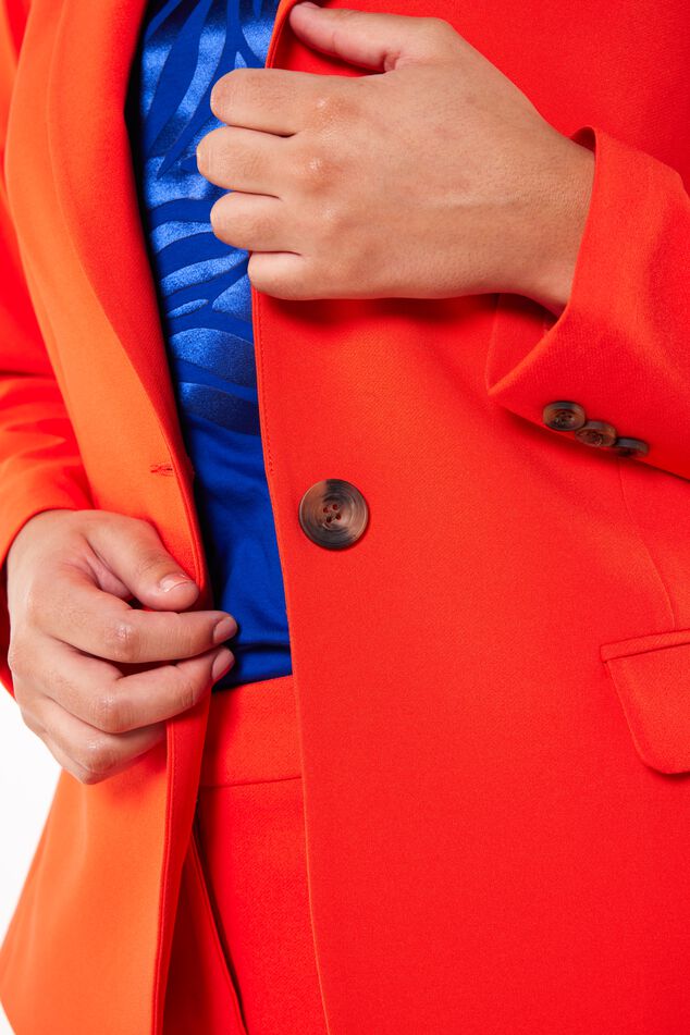 Blazer image number 5