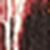 Multi Bessen rood Multi Bessen rood