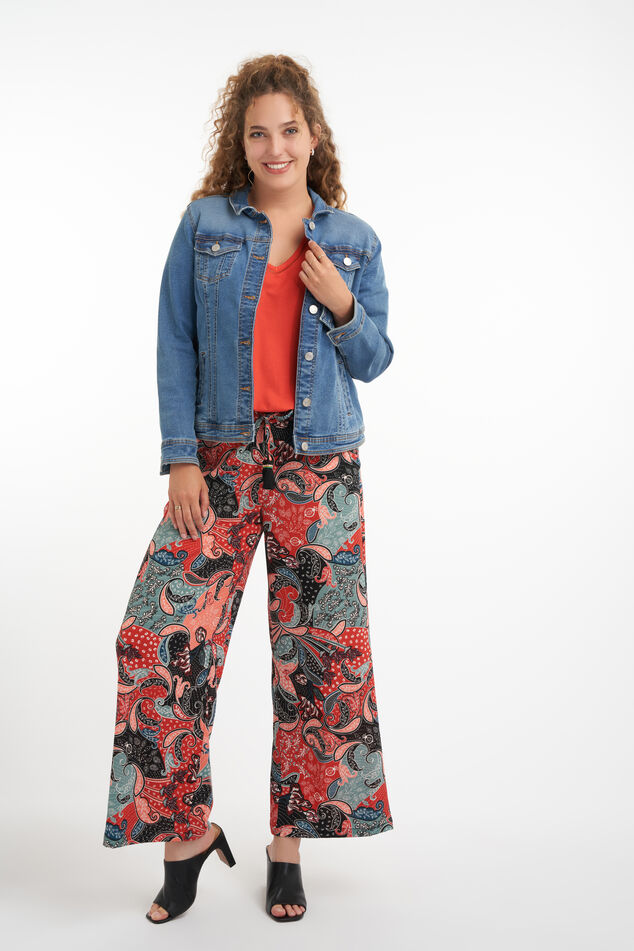 Spijkerjasje image number 4