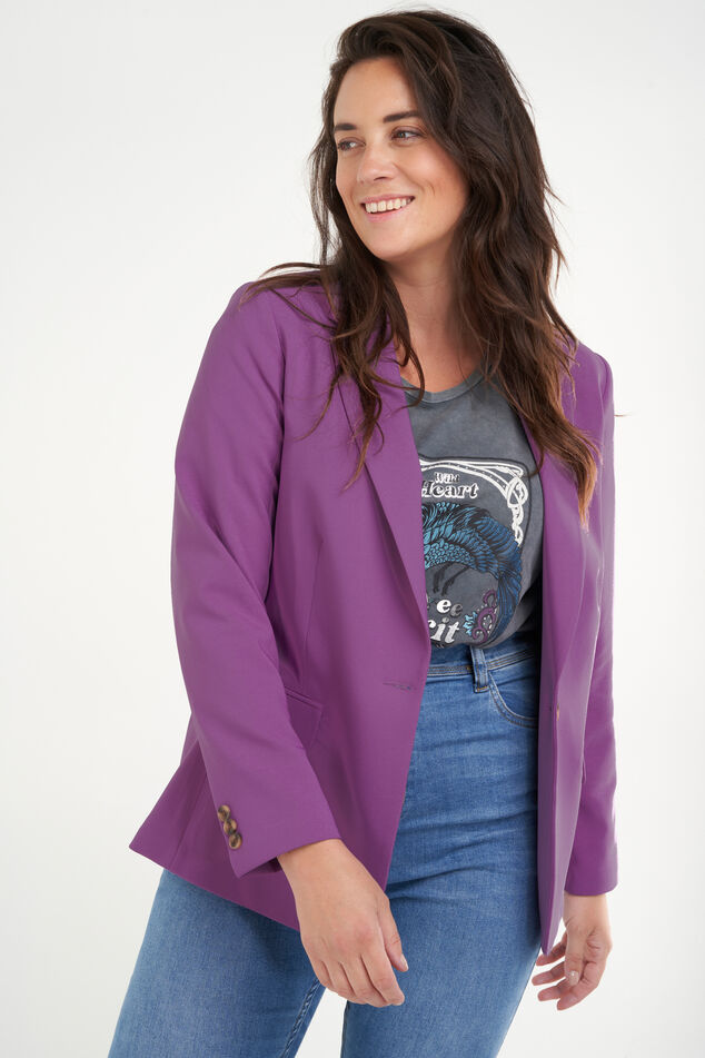 Blazer image number 4