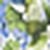 Multi Green Multi Green