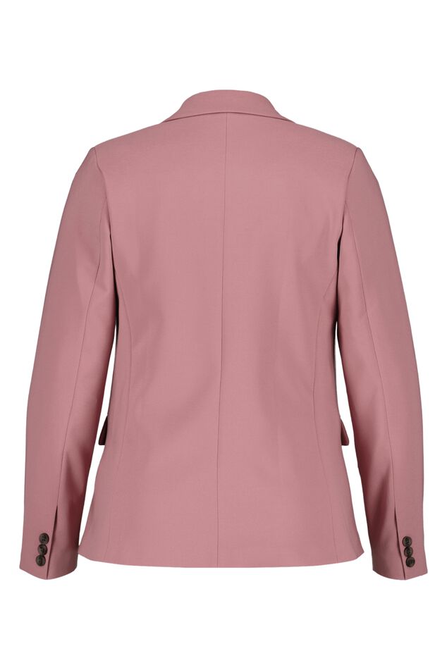 Blazer image number 2