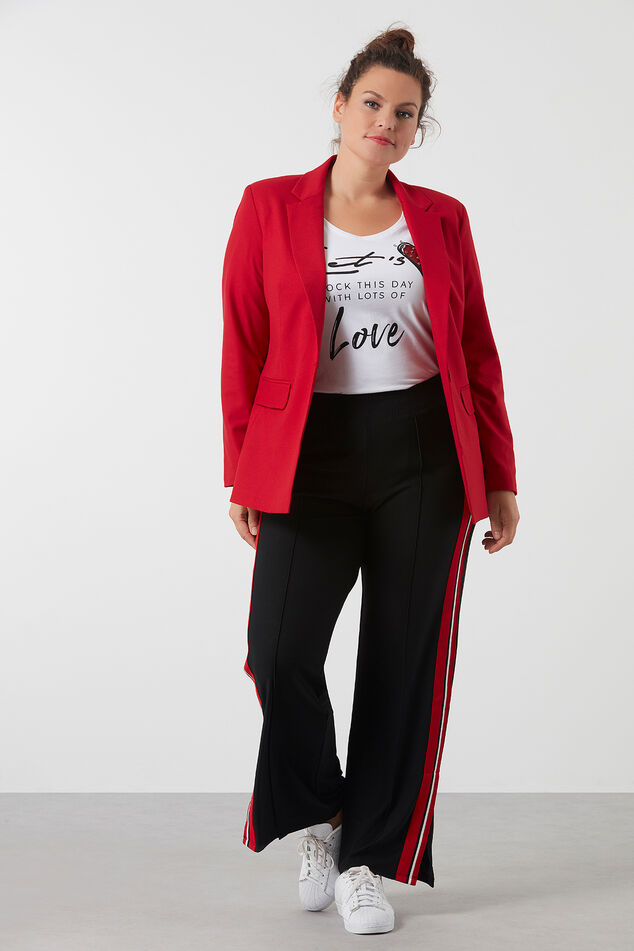 Blazer image number 0