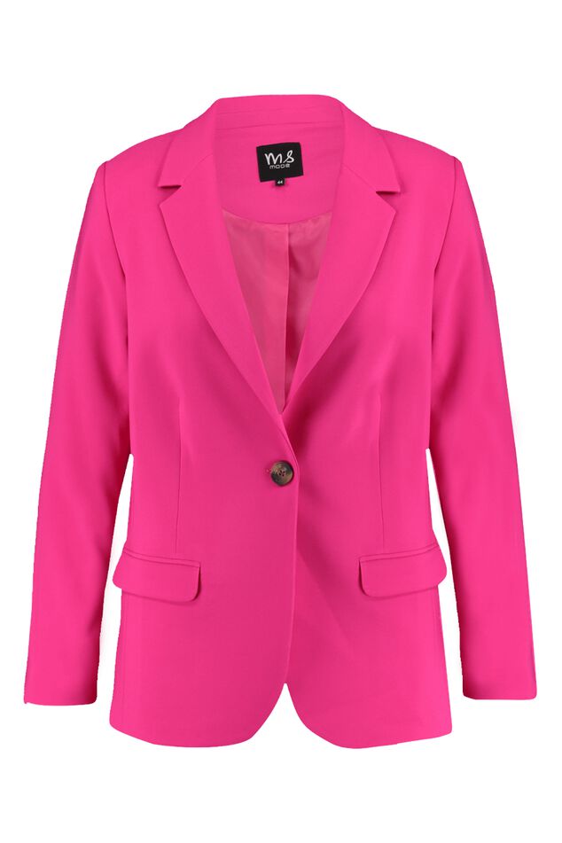 Blazer image number 1
