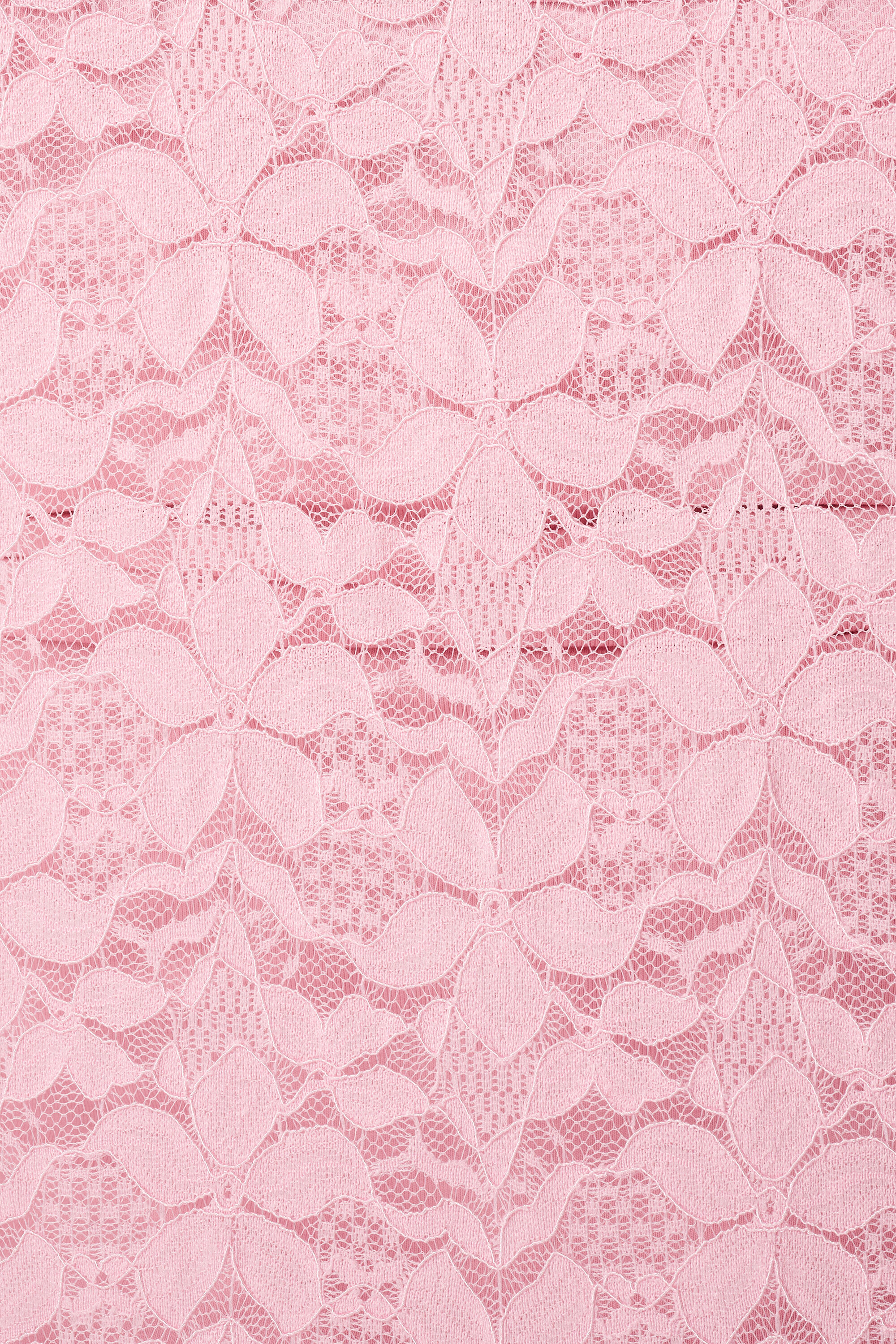 Kanten top met korte mouwen image number 6