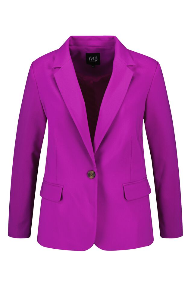 Blazer image number 1