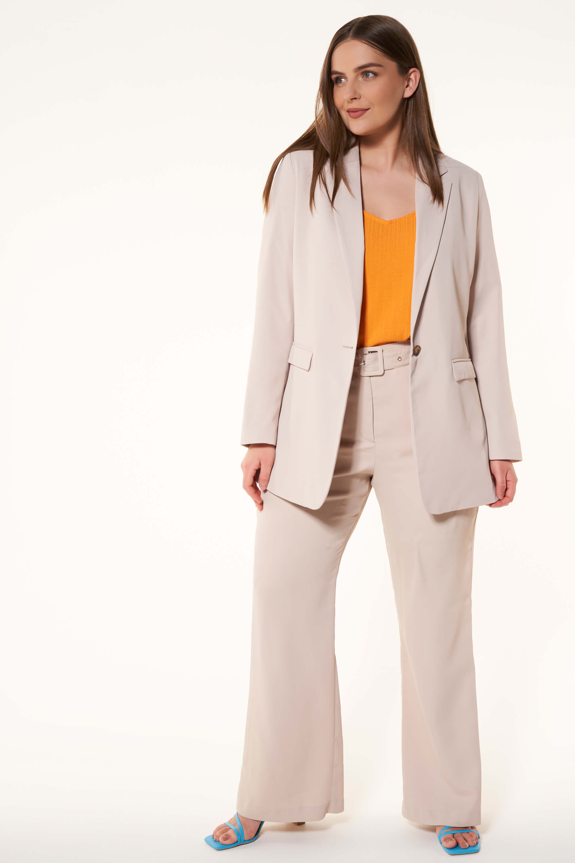 Blazer image number 5