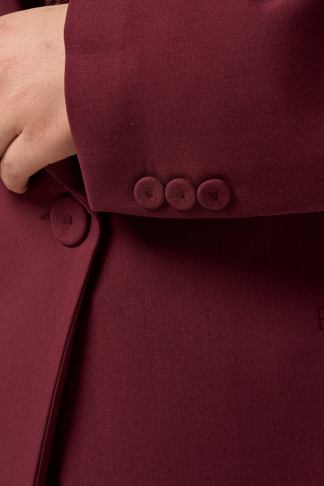 Blazer met knoopsluiting image number 4