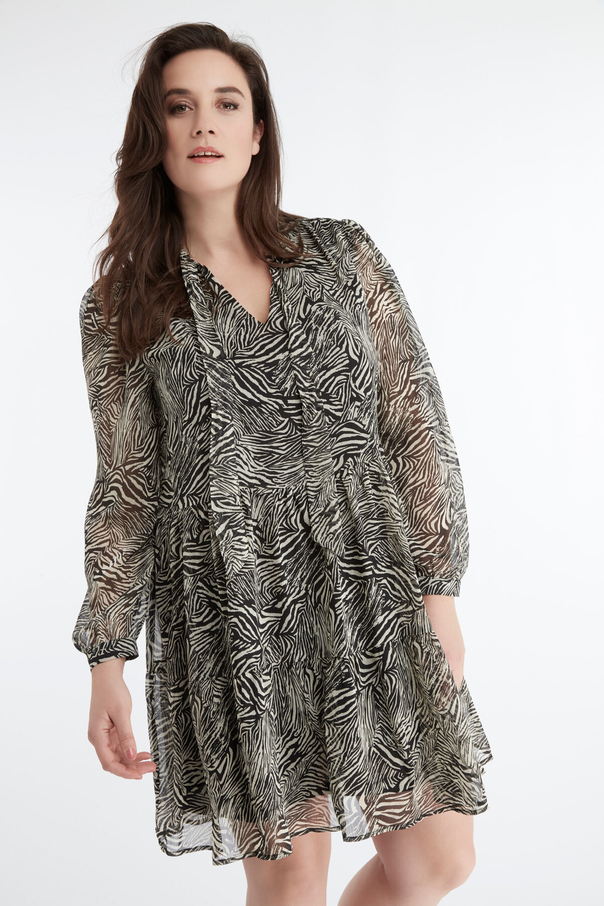 Jurk met zebra print image number 3