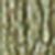 Khaki Khaki