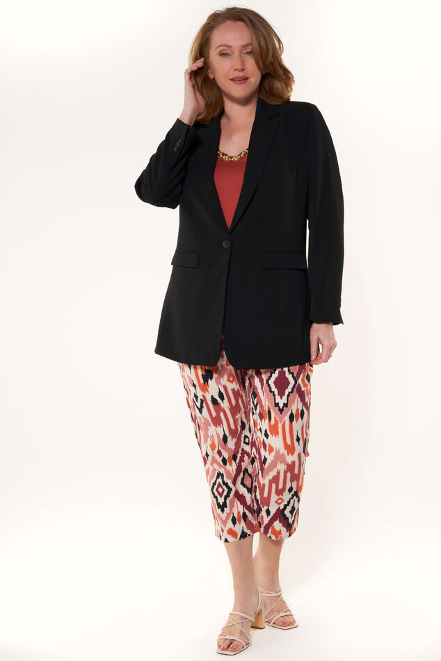 Blazer image number 6