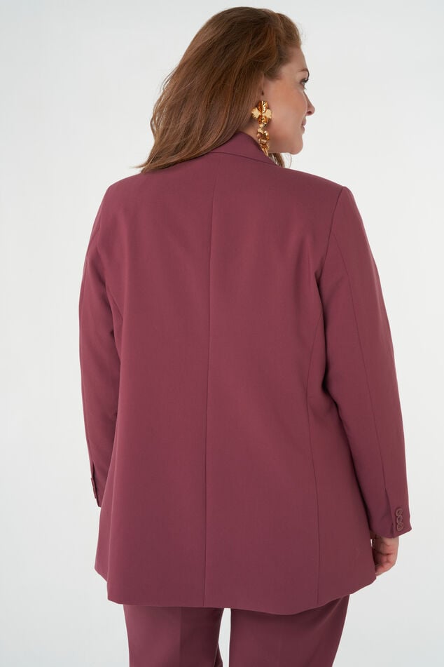 Blazer met knoopsluiting image number 4