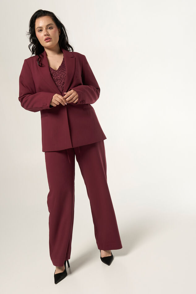 Blazer met knoopsluiting image number 5