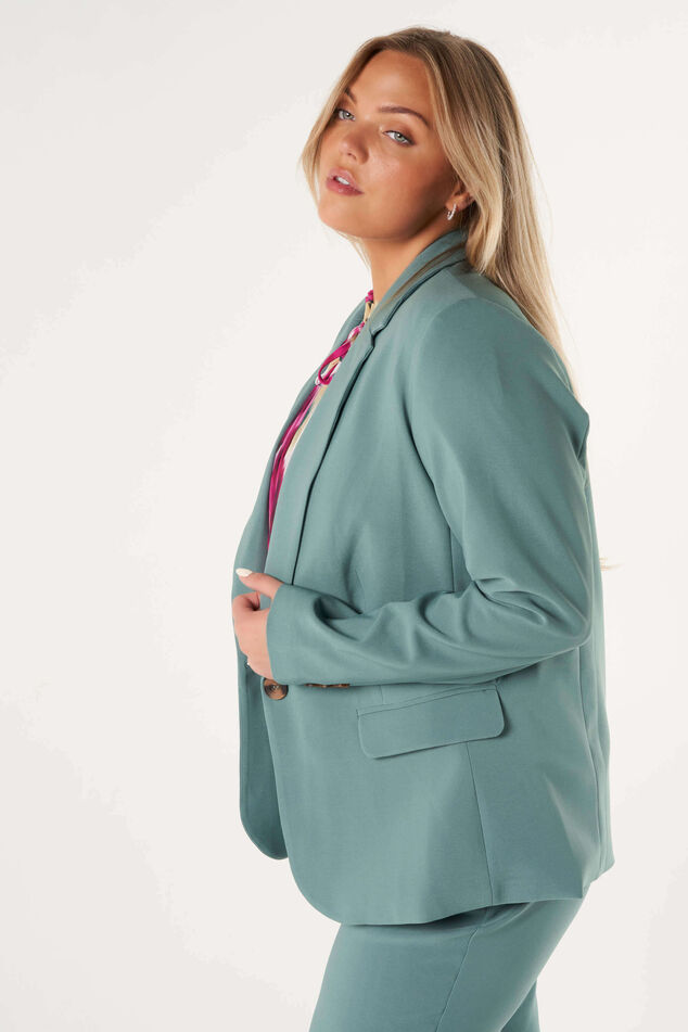 Blazer met knoopsluiting image number 6
