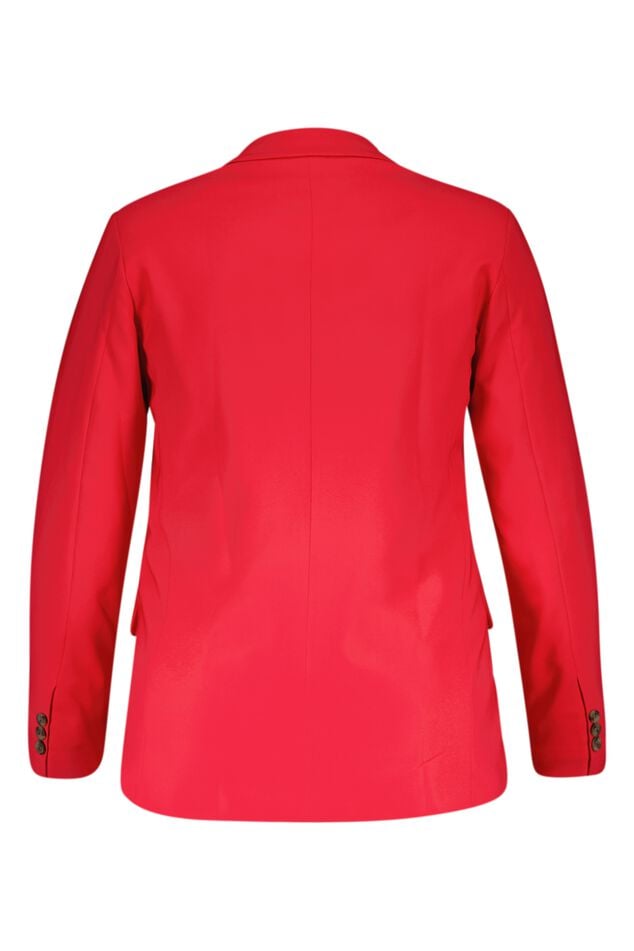 Blazer image number 2