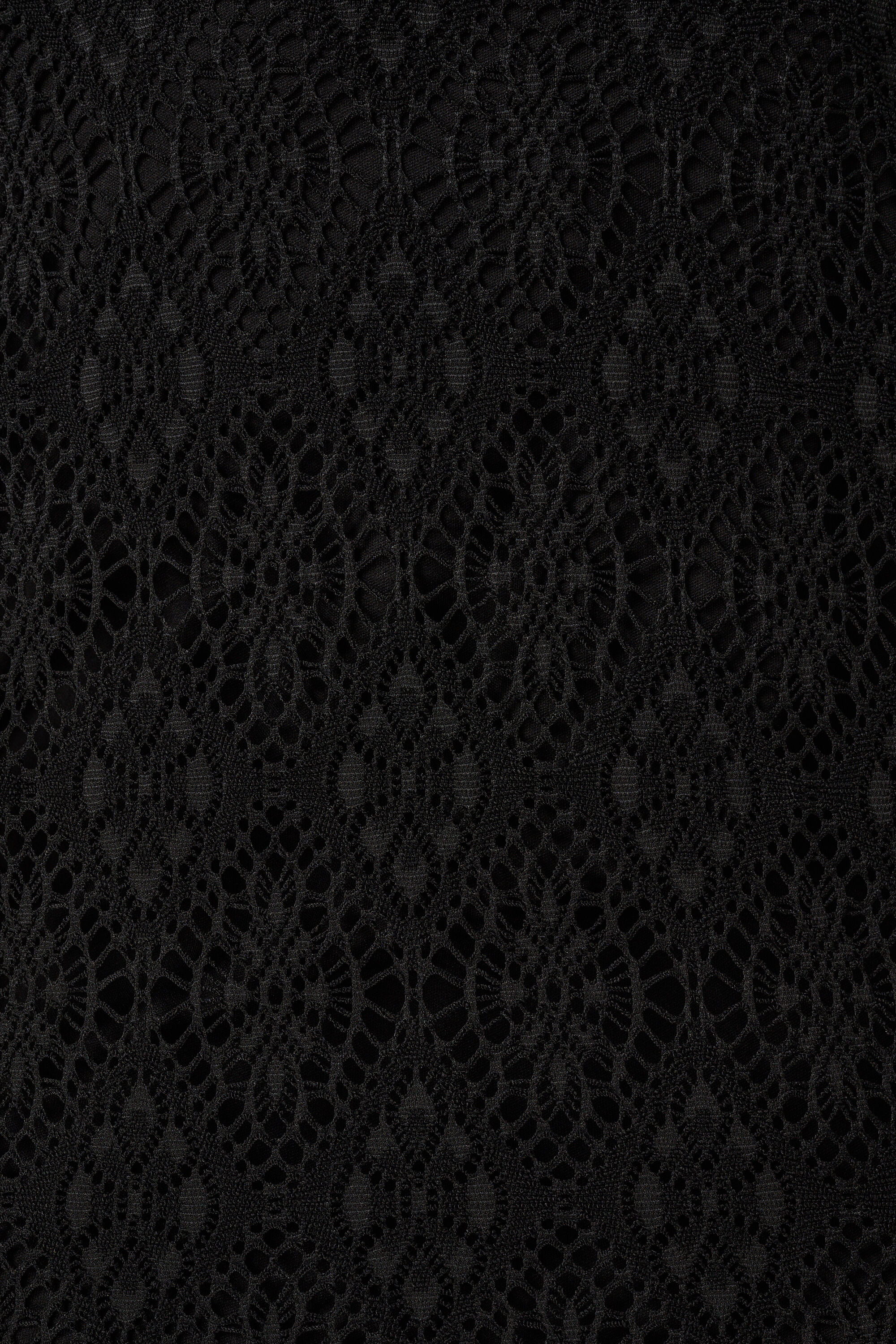 Kanten top met korte mouwen  image number 6