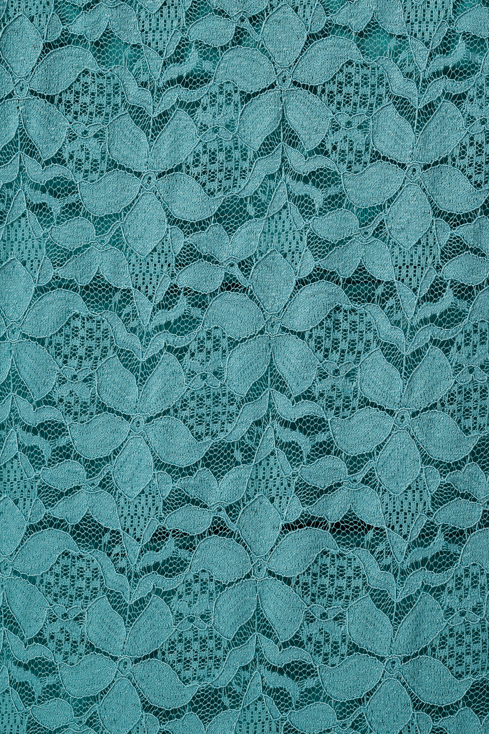 Kanten top met korte mouwen image number 6