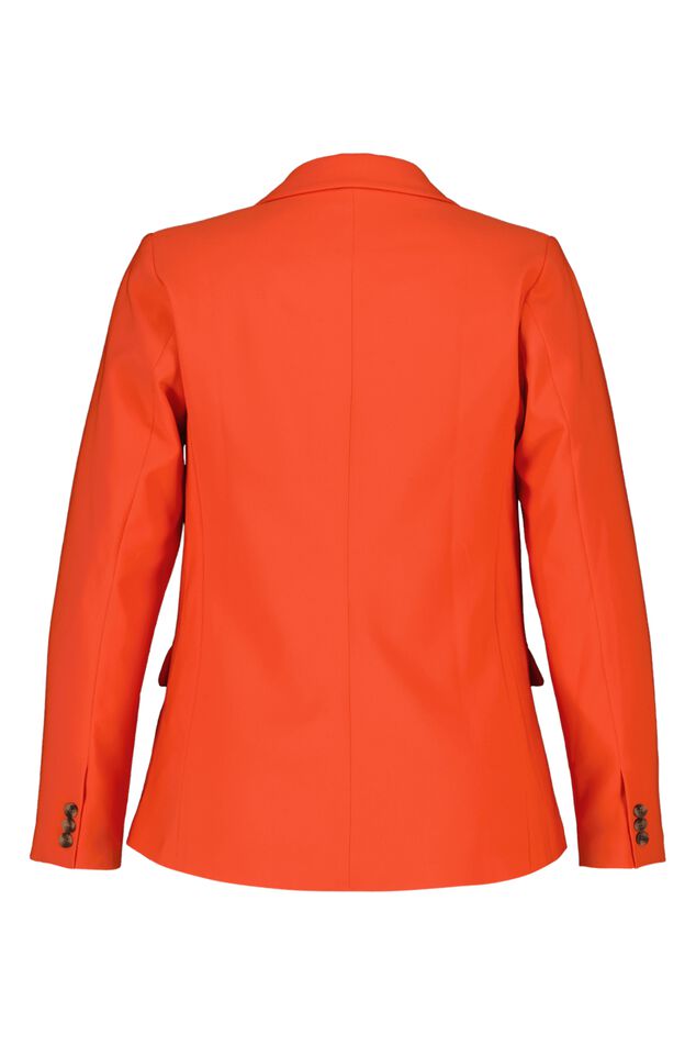 Blazer image number 3
