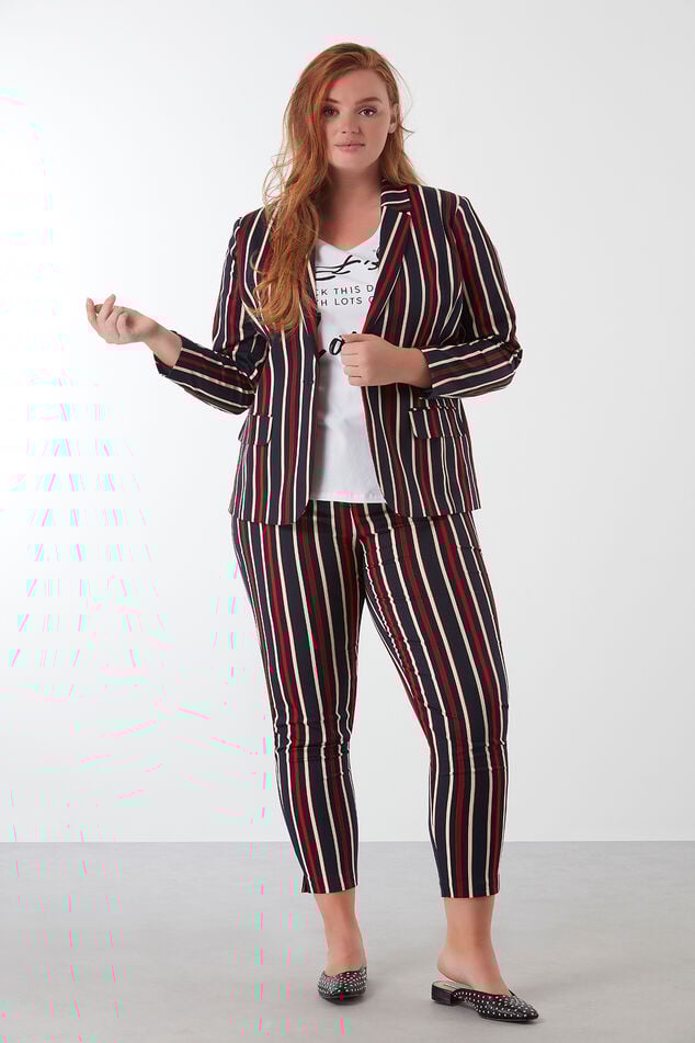 Gestreepte pantalon image number 5