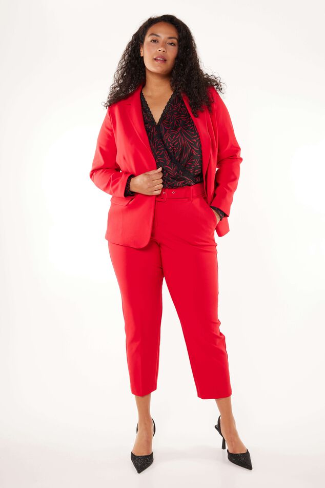 Blazer image number 4