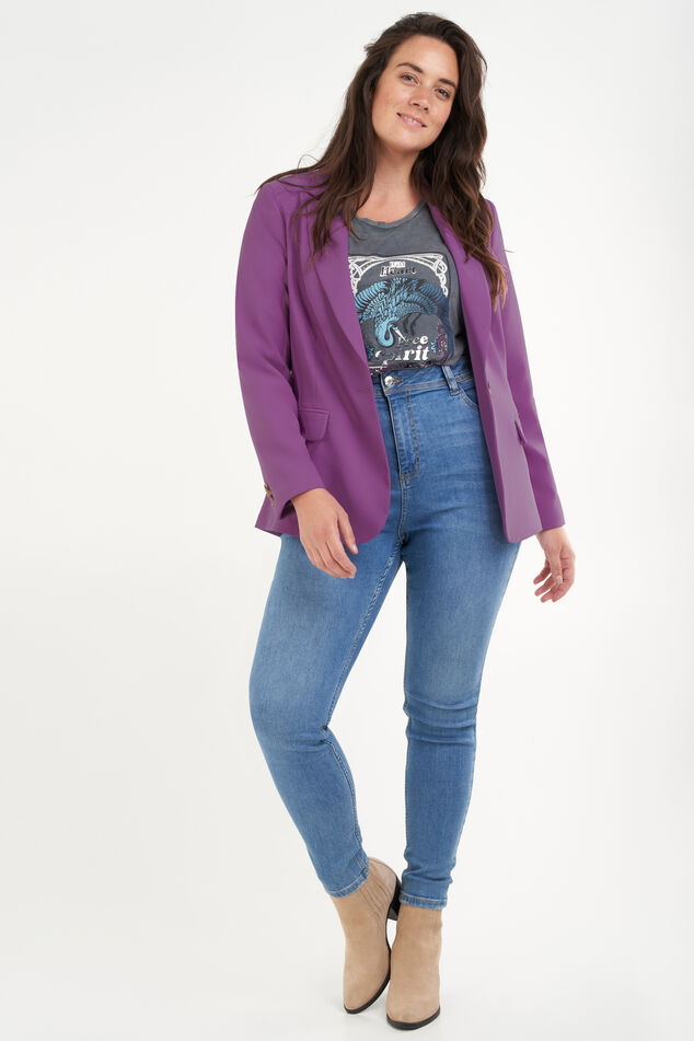 Blazer image number 5