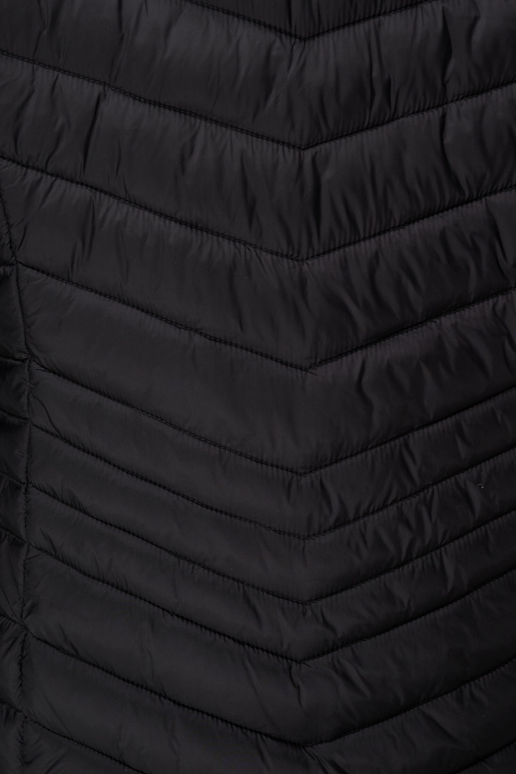 Licht gewatteerde jas image number 6