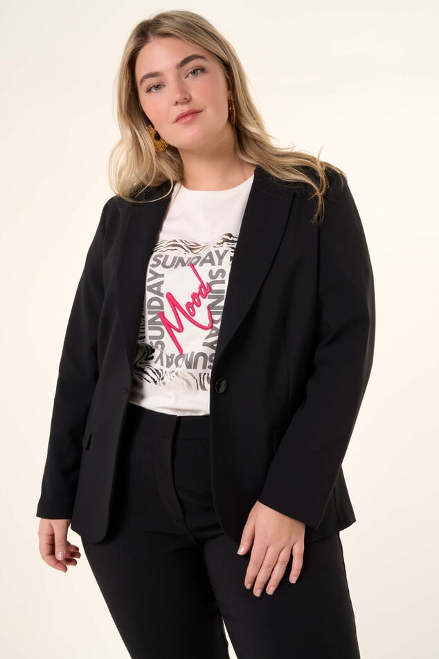 Blazer image number 0