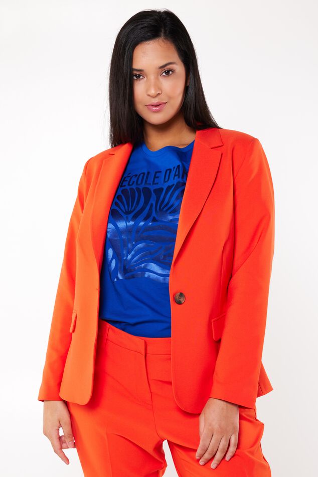 Blazer image number 6