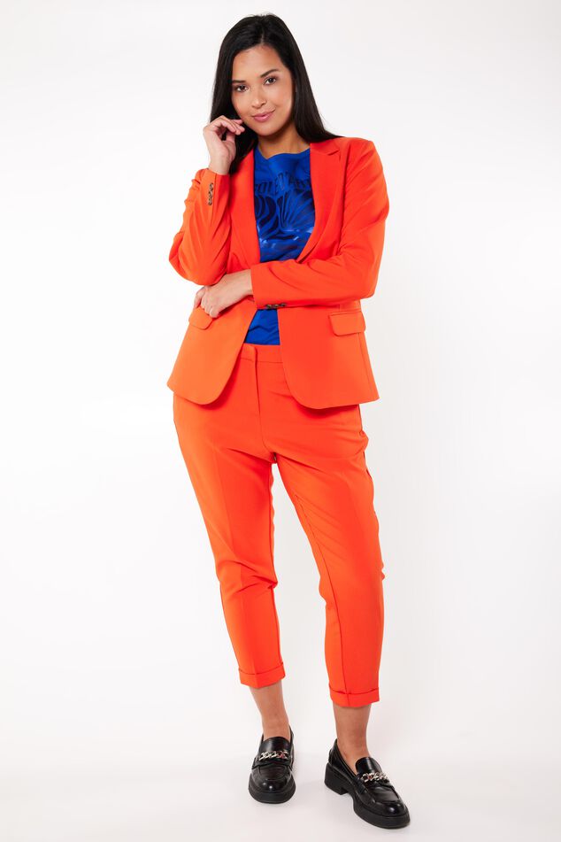 Blazer image number 0