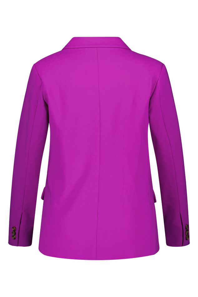 Blazer image number 2