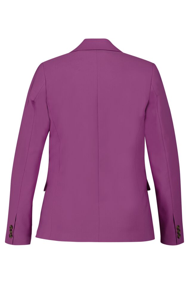 Blazer image number 3