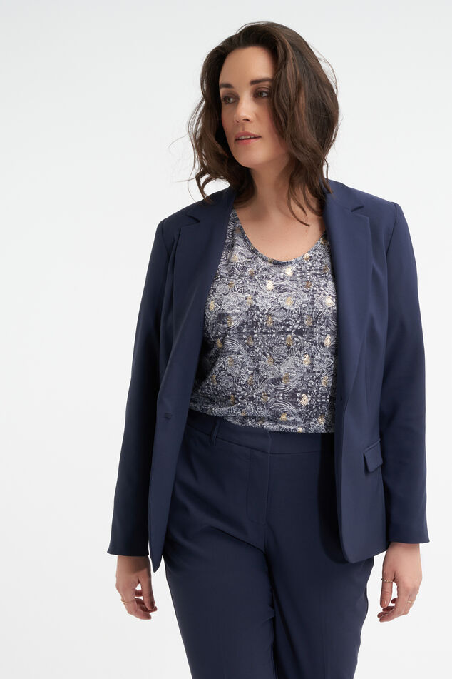 Blazer image number 0