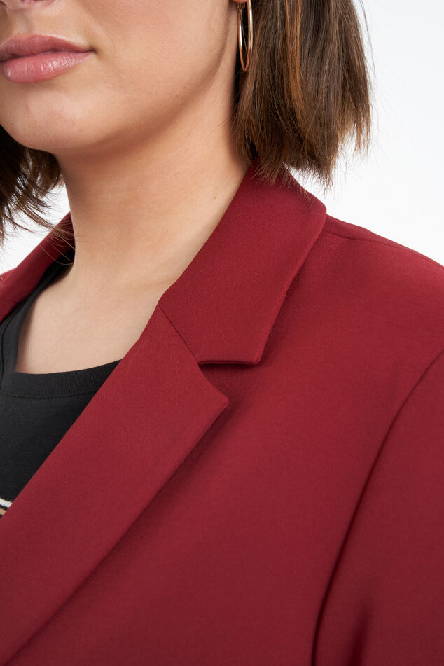 Blazer image number 5