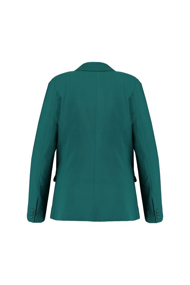 Blazer image number 3