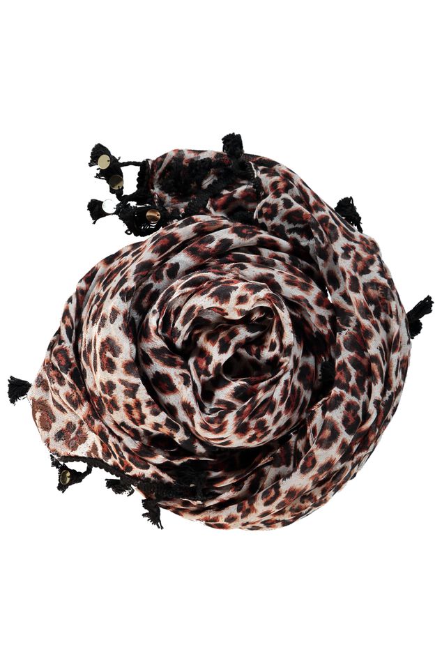 Pareo image number 2