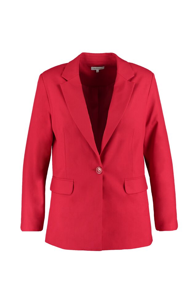 Blazer image number 1