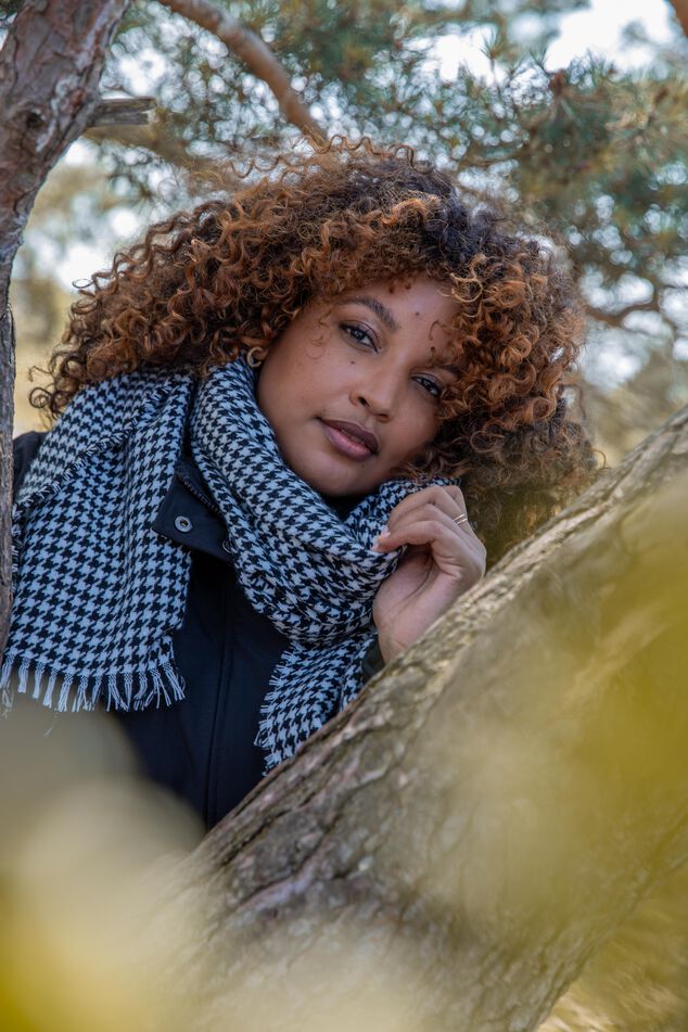 Sjaal met pied de poule print image number 0