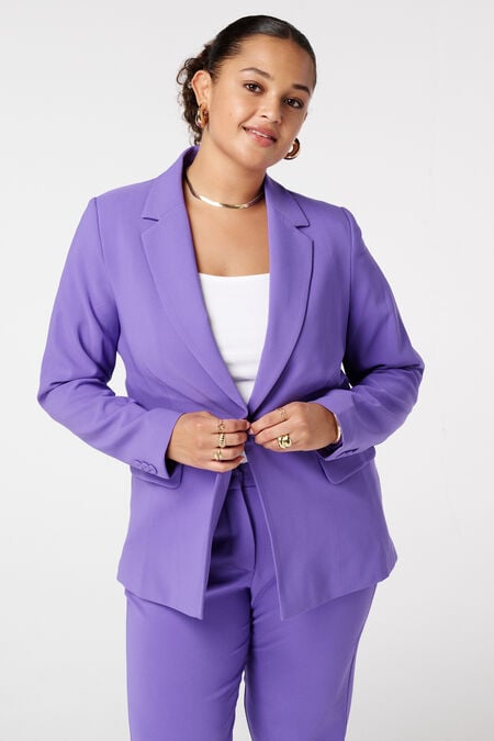 Klassieke blazer Klassieke blazer